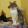 Отзыв от Екатерина Панкова
